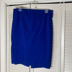 Express Pencil Skirt